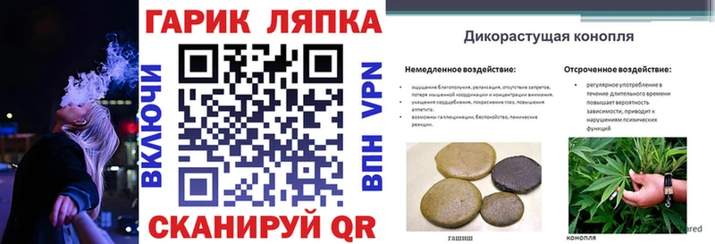 купить закладку  Зверево  МЕГА вход  ГАШ хэш 