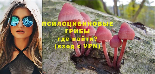 PSILOCYBIN Алексин