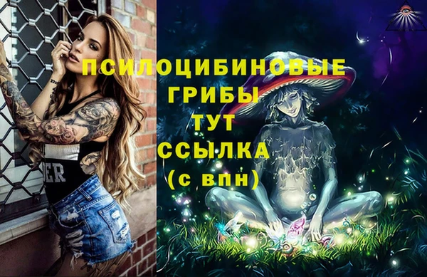 дмт Абдулино
