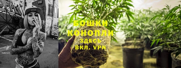 PSILOCYBIN Алексин